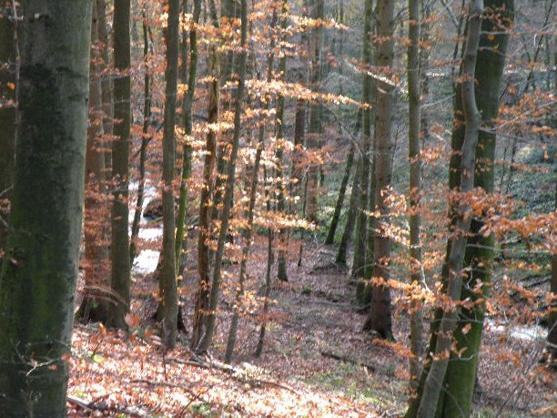 Bungsberg-CTF 088